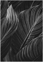 kougei_takahashimomoka_the work.jpg